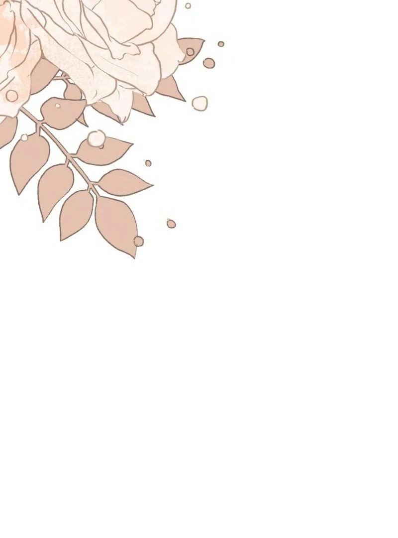 71590209 800 1080 25388